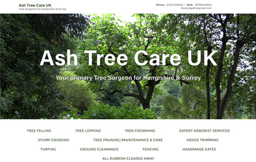 Ash Tree Care UK website by Ballynet