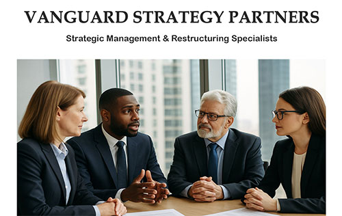 Vanguard Strategy Partners website by Ballynet